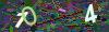 captcha-1779550452