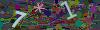 captcha-1779671168