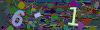 captcha-1779687485