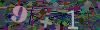 captcha-1779693484