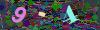 captcha-1779741495