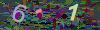 captcha-1779754518