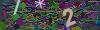 captcha-1779769671