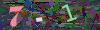captcha-1779788754