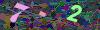 captcha-1779837235