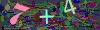 captcha-1779839028