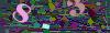 captcha-1779895919