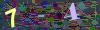 captcha-1779909888