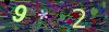 captcha-1780005077