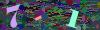 captcha-1780066452