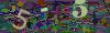 captcha-1780066831