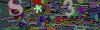 captcha-1780067211