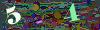 captcha-1780100785