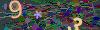captcha-1780107836