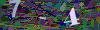 captcha-1780142419