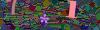 captcha-1780143072