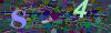 captcha-1780159810