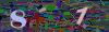 captcha-1780159822