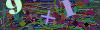 captcha-1780163535