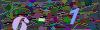captcha-1780165251
