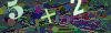 captcha-1780167822