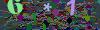captcha-1780172787