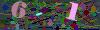 captcha-1780206692