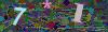 captcha-1780208824