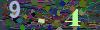captcha-1780243714