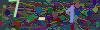 captcha-1780303343