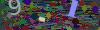 captcha-1780366343