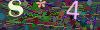 captcha-1780406734