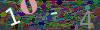 captcha-1780463736
