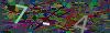 captcha-1780491492