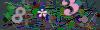 captcha-1780502324