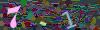 captcha-1780544255