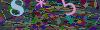 captcha-1780637759