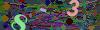 captcha-1780643651
