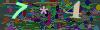 captcha-1780670277