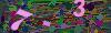 captcha-1780675387