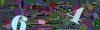 captcha-1780679231