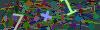 captcha-1780714343