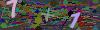 captcha-1780781534