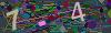 captcha-1780882740