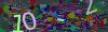 captcha-1780906787