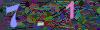 captcha-1780921664