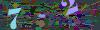 captcha-1781003460
