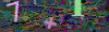captcha-1781016245