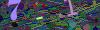 captcha-1781052496