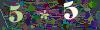 captcha-1781081091